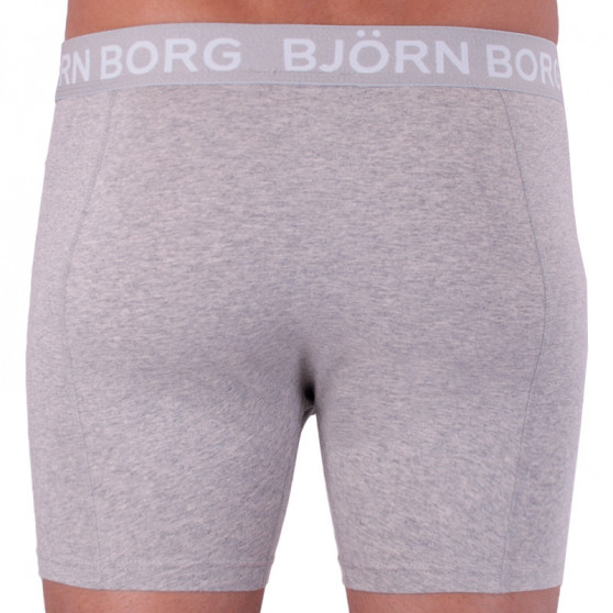 2PACK Herren Klassische Boxershorts Bjorn Borg mehrfarbig (1841-1204-40501)