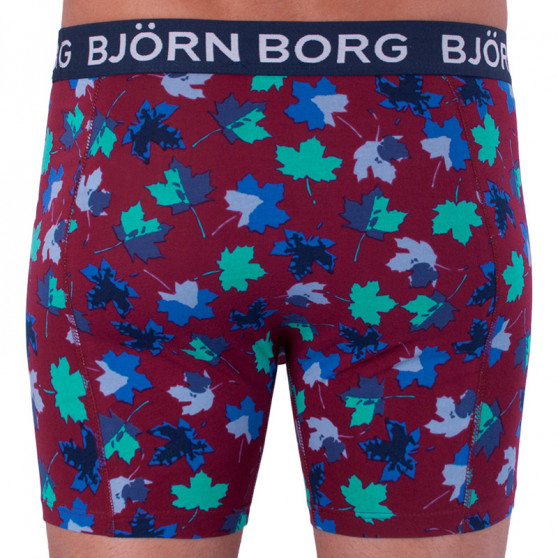 2PACK Herren Klassische Boxershorts Bjorn Borg mehrfarbig (1841-1204-40501)