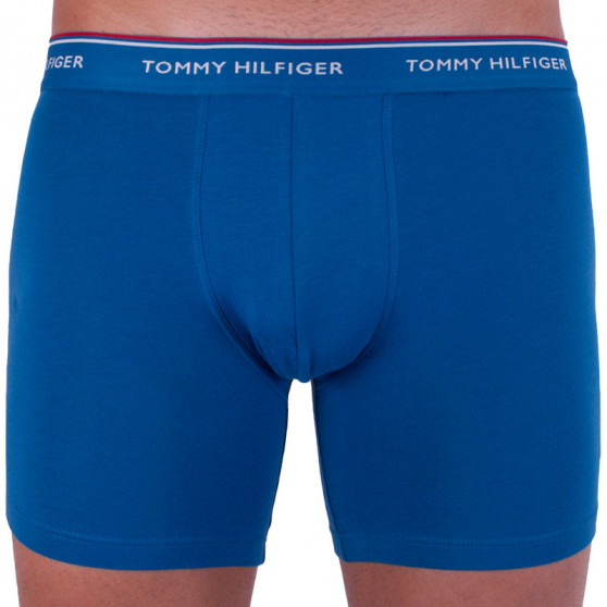 3PACK Herren Klassische Boxershorts Tommy Hilfiger mehrfarbig (UM0UM00010 071)