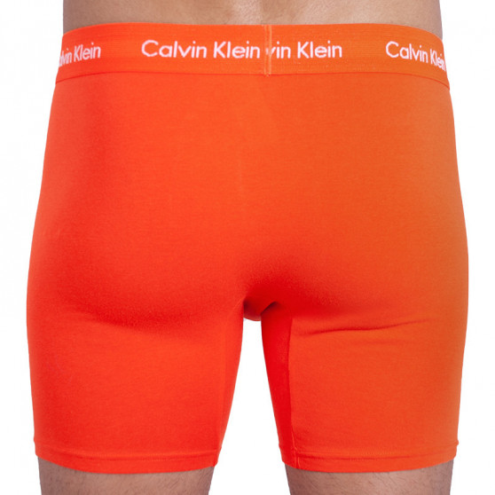 3PACK Herren Klassische Boxershorts Calvin Klein mehrfarbig (NB1770A-YTP)