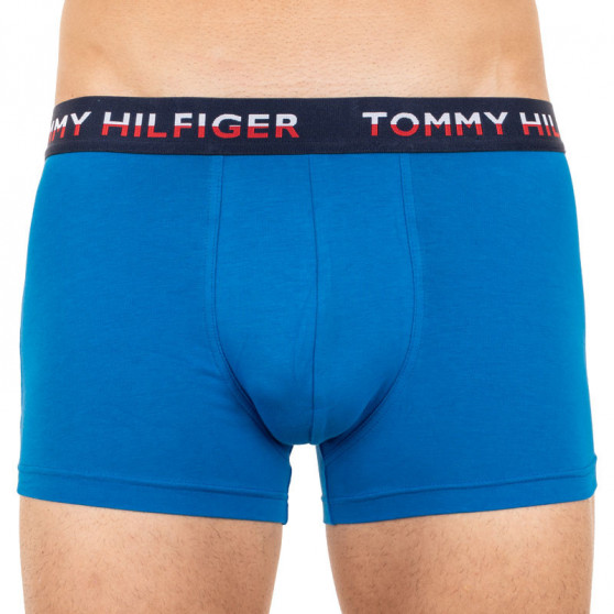 2PACK Herren Klassische Boxershorts Tommy Hilfiger mehrfarbig (UM0UM01233 014)