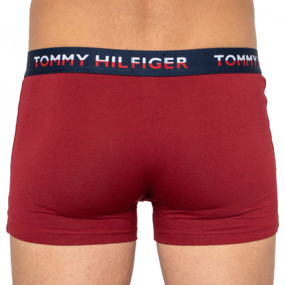 2PACK Herren Klassische Boxershorts Tommy Hilfiger mehrfarbig (UM0UM01233 582)