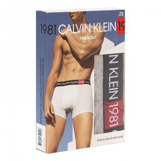 Herren Klassische Boxershorts Calvin Klein grau (NB2050A-080)