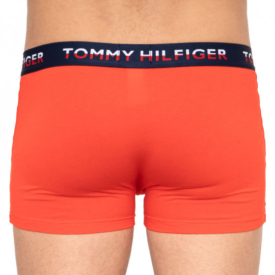 2PACK Herren Klassische Boxershorts Tommy Hilfiger mehrfarbig (UM0UM01233 021)
