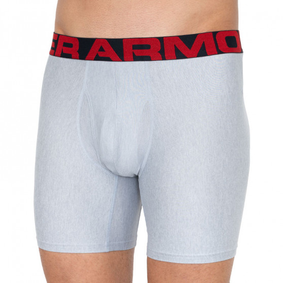 2PACK Herren Klassische Boxershorts Under Armour grau (1327415 011)