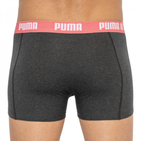 2PACK Herren Klassische Boxershorts Puma mehrfarbig (521015001 001)