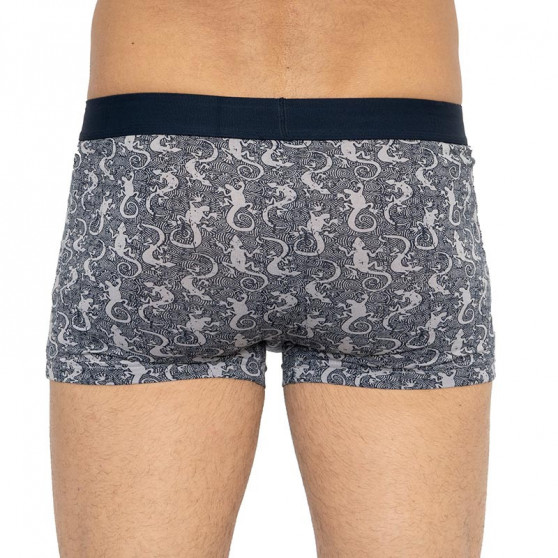 Herren Klassische Boxershorts Molvy mehrfarbig (MP-1019-BEU)