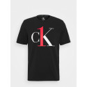 Herren T-Shirt CK ONE schwarz (NM1903E-3WX)