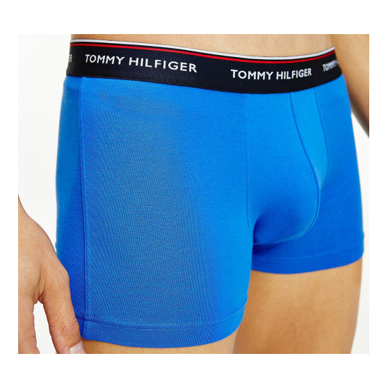 3PACK Herren Klassische Boxershorts Tommy Hilfiger mehrfarbig (1U87903842 0T1)