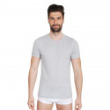 Herren T-Shirt Fila grau (FU5002-400)