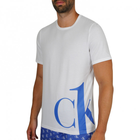 Herren T-Shirt Calvin Klein weiß (NM1904E-KLO)