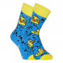 Socken Represent glückliche Enten (R1A-SOC-0657)