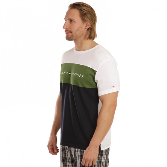 Herren T-Shirt Tommy Hilfiger mehrfarbig (UM0UM01170 MS1)
