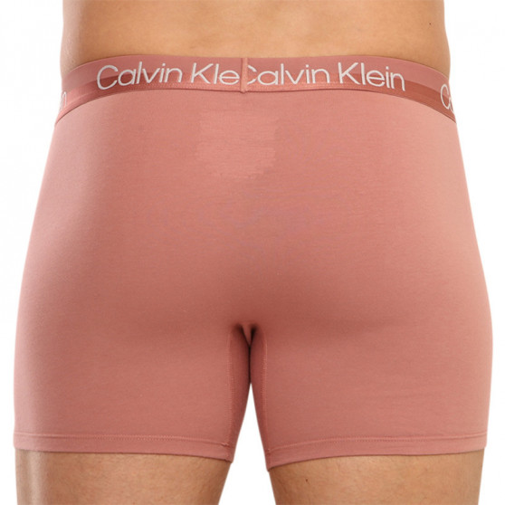 3PACK Herren Klassische Boxershorts Calvin Klein mehrfarbig (NB2971A-1RM)