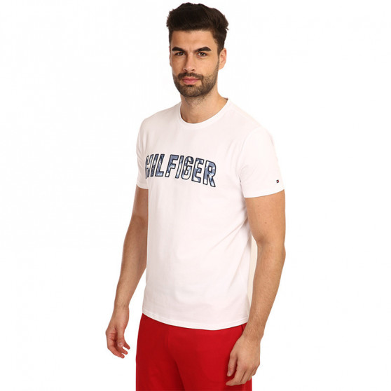 Herren T-Shirt Tommy Hilfiger mehrfarbig (UM0UM02436 YBR)