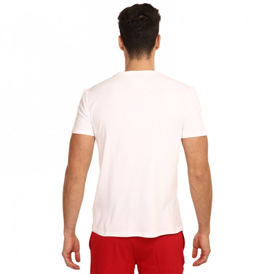 Herren T-Shirt Tommy Hilfiger mehrfarbig (UM0UM02436 YBR)