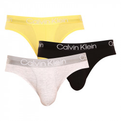 3PACK Herren Slips Calvin Klein mehrfarbig (NB2969A-1RN)