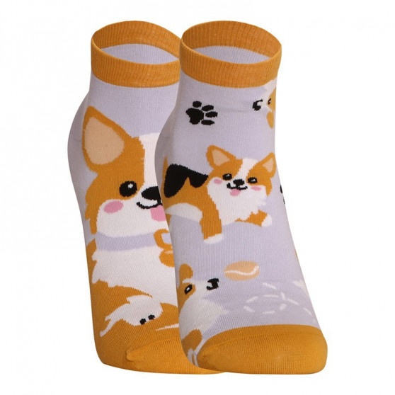 Lustige Socken Dedoles Corgi-Hund (GMLS241)