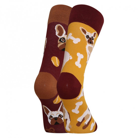 Lustige Socken Dedoles Französische Bulldogge (GMRS213)