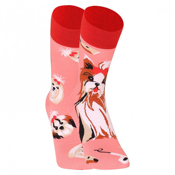 Lustige Socken Dedoles Yorkshire Terrier (GMRS215)
