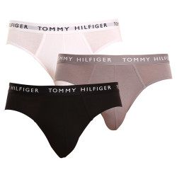 3PACK Herren Slips Tommy Hilfiger mehrfarbig (UM0UM02206 0TG)