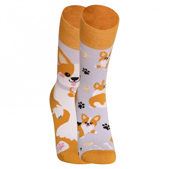 Lustige Socken Dedoles Corgi-Hund (GMRS241)