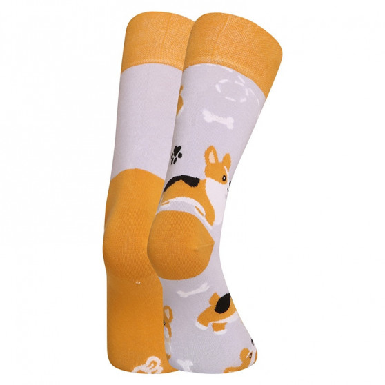 Lustige Socken Dedoles Corgi-Hund (GMRS241)
