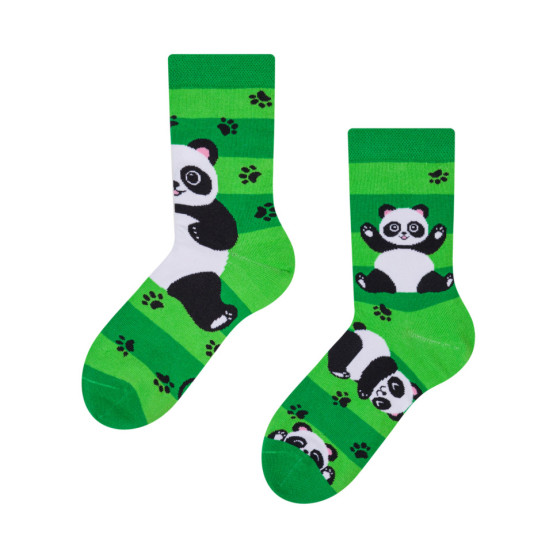 Lustige Kindersocken  Dedoles Pandas und Gürtel (D-K-SC-RS-C-C-249)