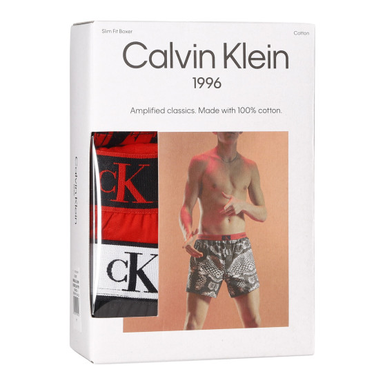 3PACK Herren Boxershorts Calvin Klein mehrfarbig (NB3412A-DRM)