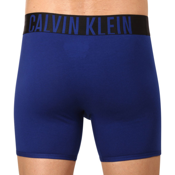 2PACK Herren Klassische Boxershorts Calvin Klein mehrfarbig (NB2603A-C2G)