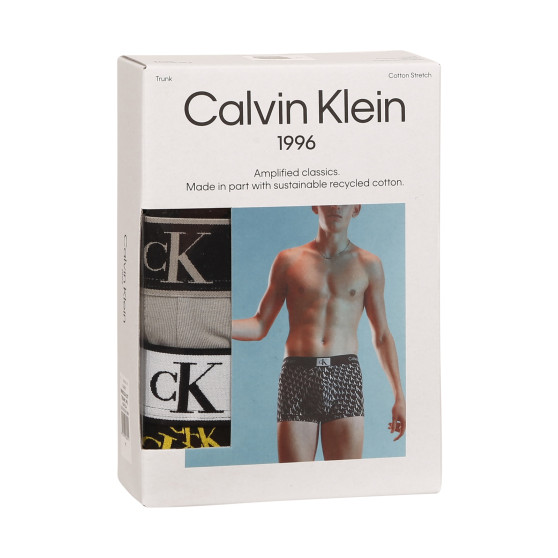 3PACK Herren Klassische Boxershorts Calvin Klein mehrfarbig (NB3528A-DXT)