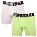 2PACK Herren Klassische Boxershorts Calvin Klein mehrfarbig (NB2603A-C2D)