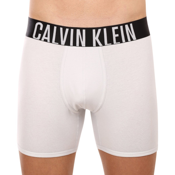 2PACK Herren Klassische Boxershorts Calvin Klein mehrfarbig (NB2603A-C2D)