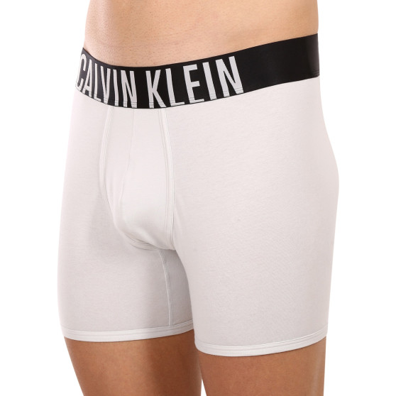 2PACK Herren Klassische Boxershorts Calvin Klein mehrfarbig (NB2603A-C2D)