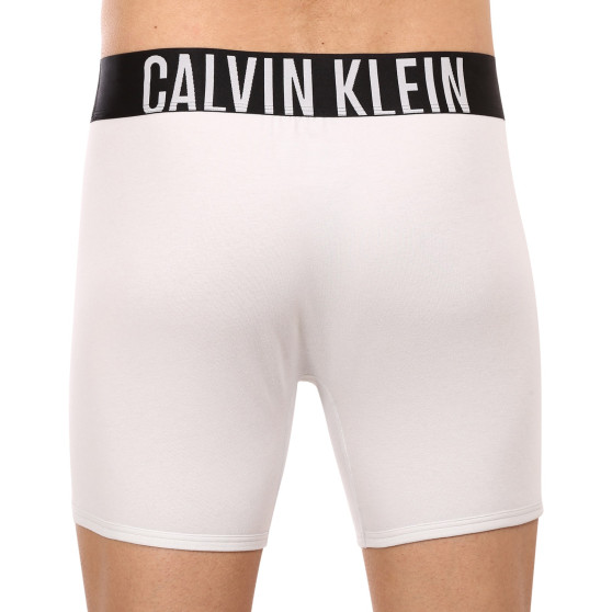 2PACK Herren Klassische Boxershorts Calvin Klein mehrfarbig (NB2603A-C2D)