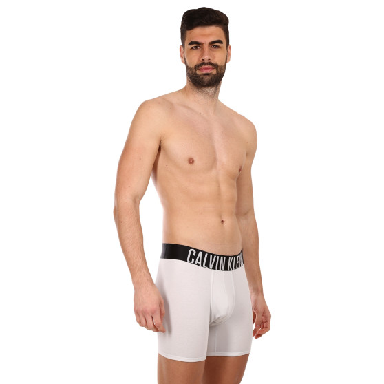 2PACK Herren Klassische Boxershorts Calvin Klein mehrfarbig (NB2603A-C2D)