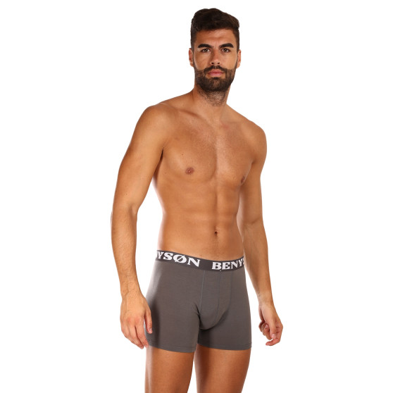 5PACK Herren Klassische Boxershorts Benysøn mehrfarbig (4002)