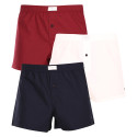 3PACK Herren Boxershorts Tommy Hilfiger mehrfarbig (UM0UM02848 0XU)