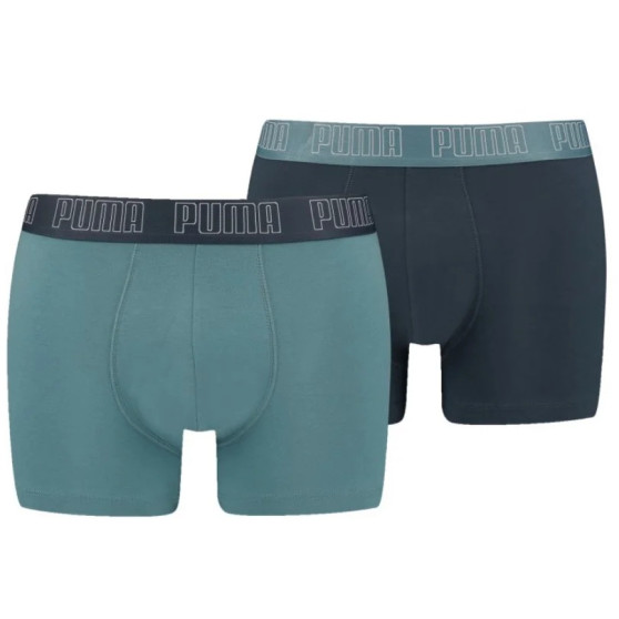 2PACK Herren Klassische Boxershorts Puma mehrfarbig (100000884 053)