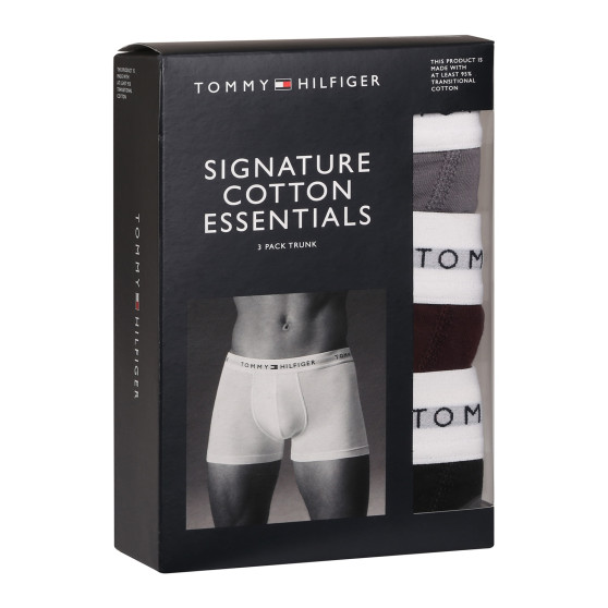 3PACK Herren Klassische Boxershorts Tommy Hilfiger mehrfarbig (UM0UM02761 0UJ)