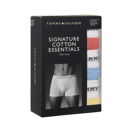 3PACK Herren Klassische Boxershorts Tommy Hilfiger mehrfarbig (UM0UM02761 0XM)