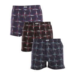 3PACK Herren Boxershorts Andrie mehrfarbig (PS 5565)