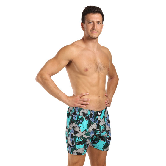 Represent Herrenshorts exklusiv Ali Happy Sharks (R4M-BOX-0609)