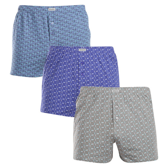 3PACK Herren Boxershorts Andrie mehrfarbig (PS 5810)