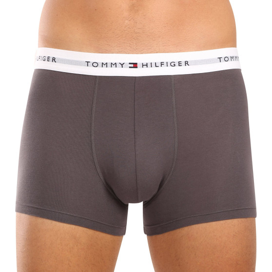 3PACK Herren Klassische Boxershorts Tommy Hilfiger mehrfarbig (1U87903841 004)