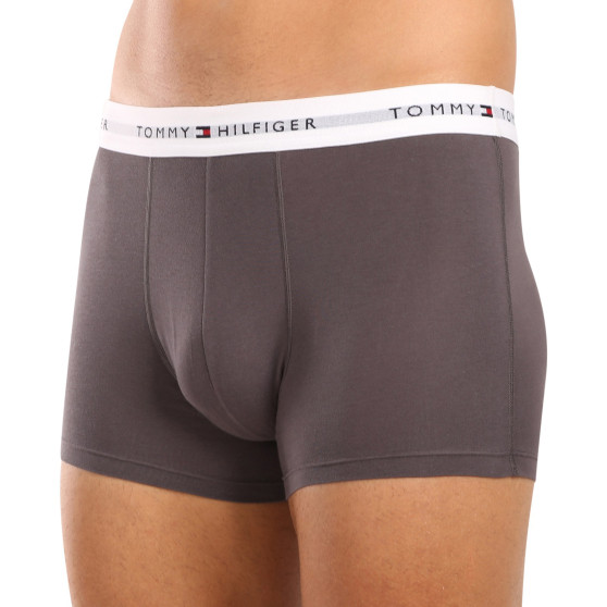 3PACK Herren Klassische Boxershorts Tommy Hilfiger mehrfarbig (1U87903841 004)