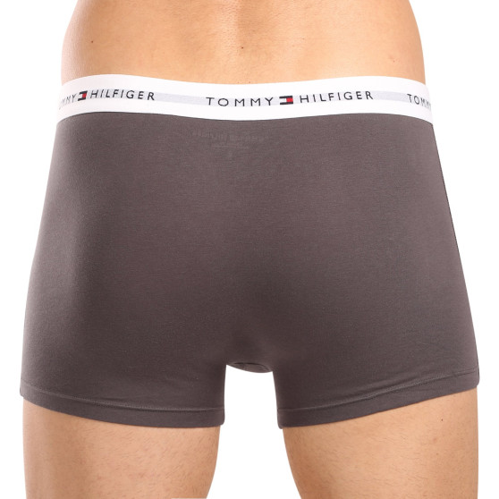 3PACK Herren Klassische Boxershorts Tommy Hilfiger mehrfarbig (1U87903841 004)