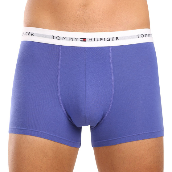 3PACK Herren Klassische Boxershorts Tommy Hilfiger mehrfarbig (1U87903841 004)