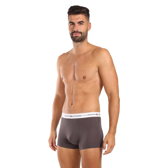 3PACK Herren Klassische Boxershorts Tommy Hilfiger mehrfarbig (1U87903841 004)