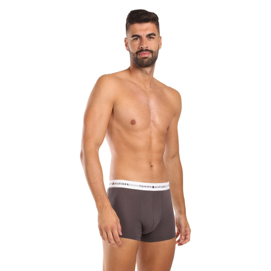 3PACK Herren Klassische Boxershorts Tommy Hilfiger mehrfarbig (1U87903841 004)